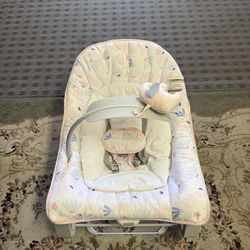 Baby Bouncer