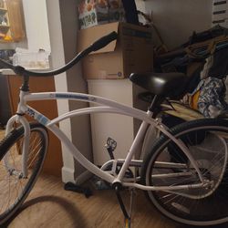 Vita Coco Schwinn Bike 