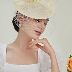 BABEYOND Women's Pillbox Fascinator Hat Kentucky Feather Derby Tea Party Headpiece with Veil for Cocktail Costume