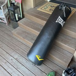 Everlast Punching Bag 