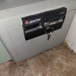 2 Safes $65 - Each