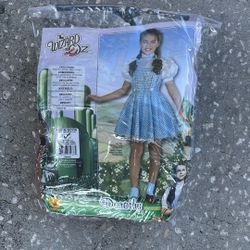 Dorothy Costume (size M)