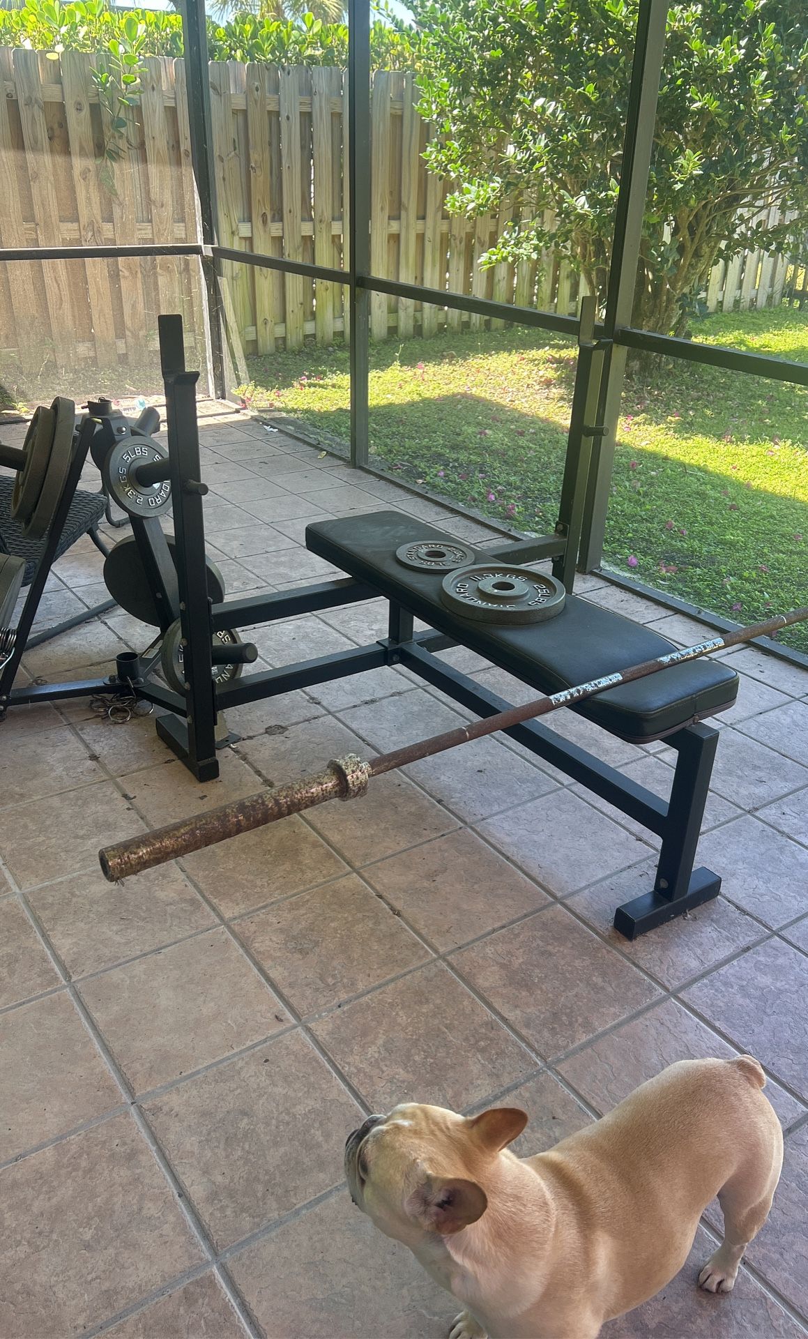 Full Bench Press/Weights