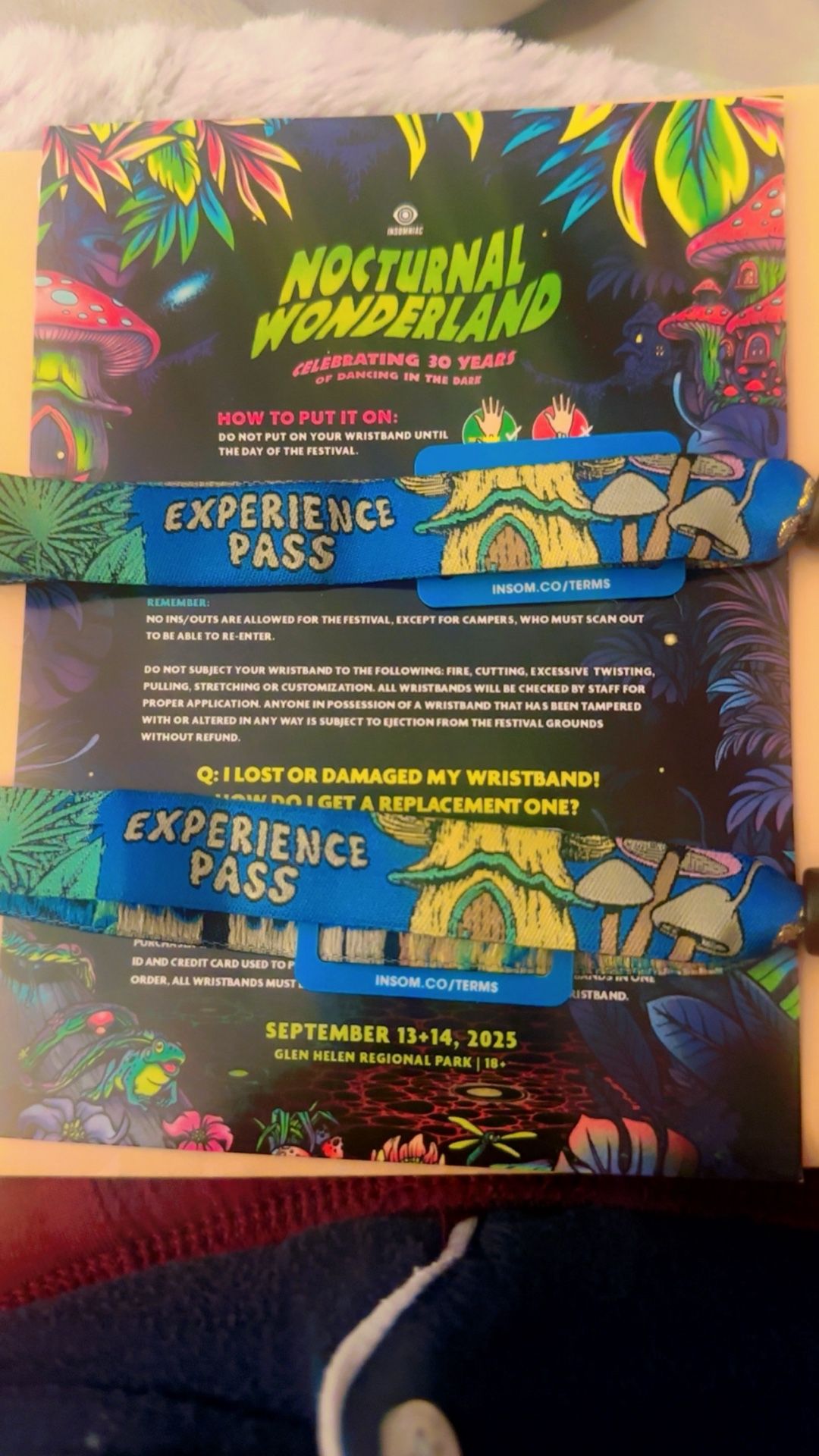 Rave 2 Day Pass
