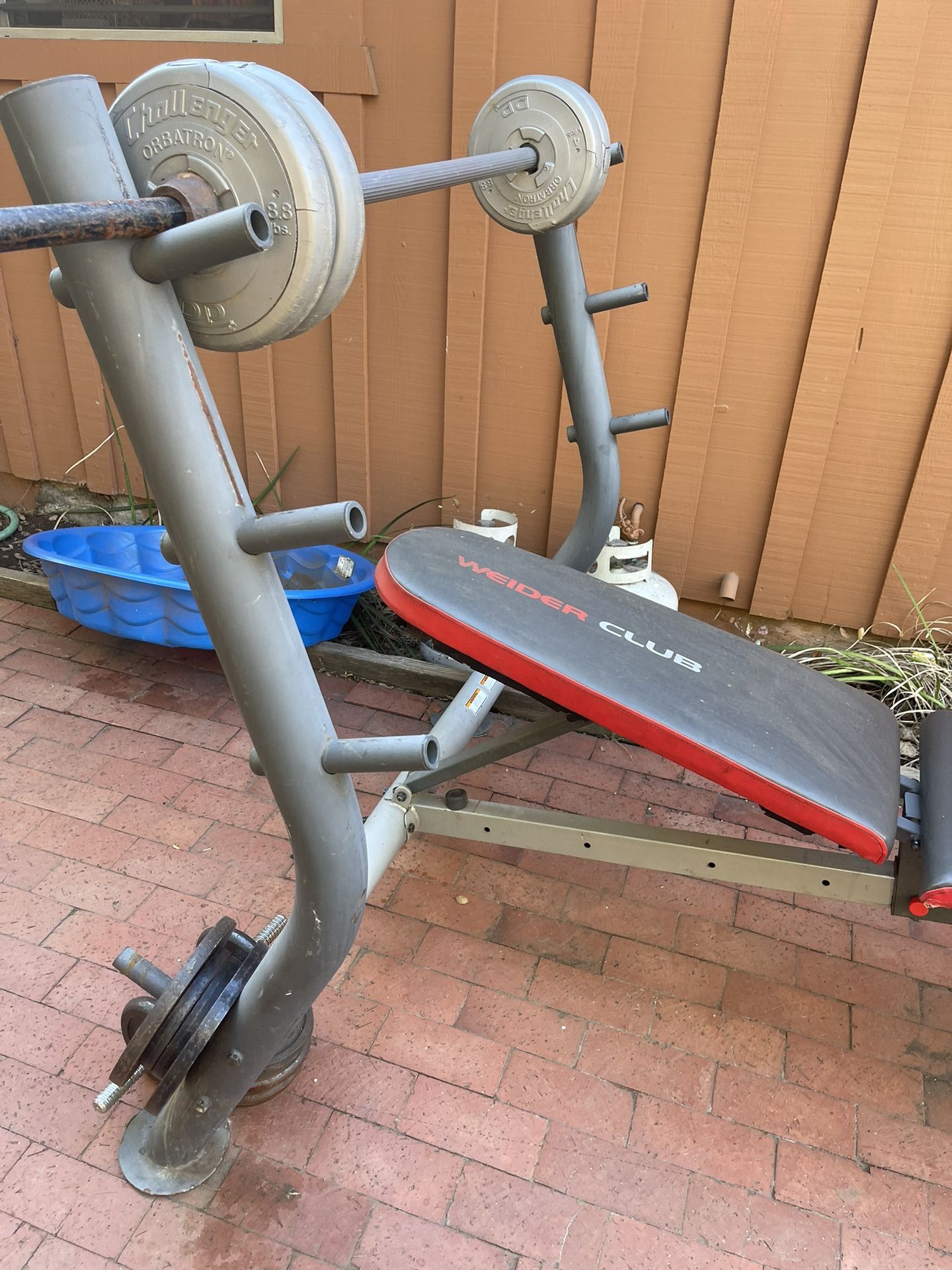 Weider club bench new arrivals