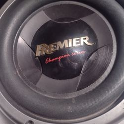 10in Subwoofer $30 Project 