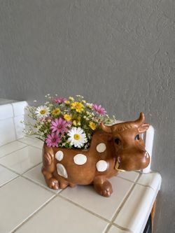Twin witon brown spotted cow Cookie jar