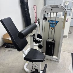 Pacific Fitness Oblique machine 