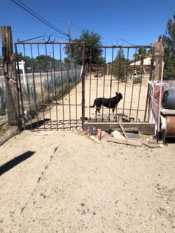 Heavy steal gates