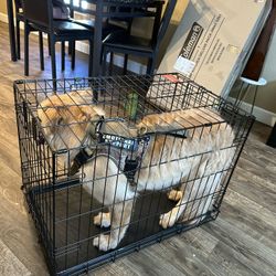 Dog Kennel