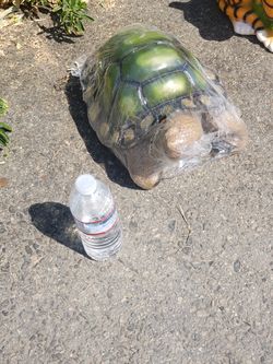 Dont delete medium turtle decoration