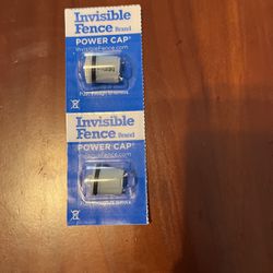 Invisible Fence brand Power Cap