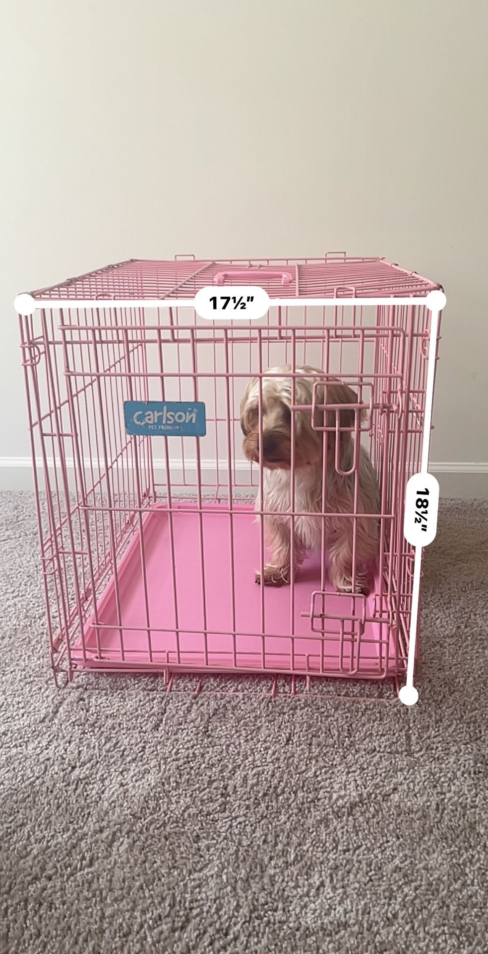 Small Dog Crate