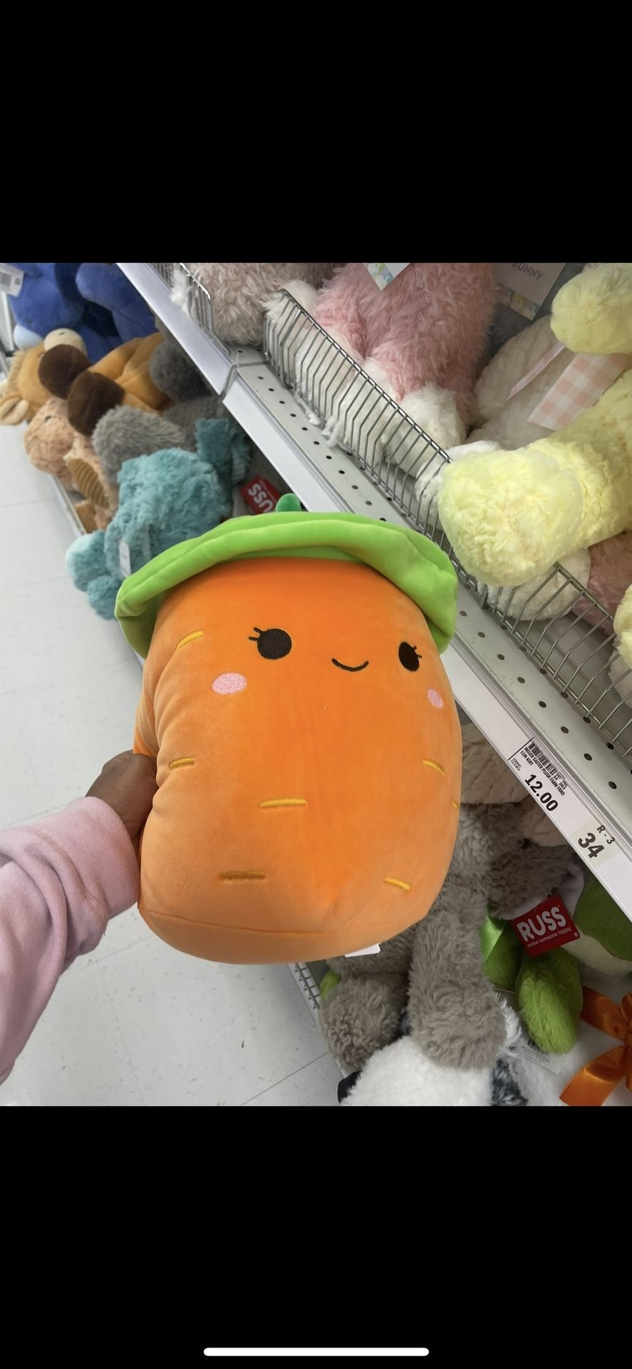 Stuffed Animal