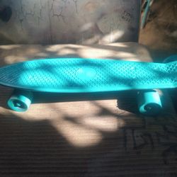 Penny Board For Sale 