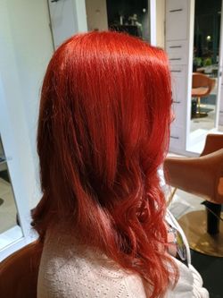 Color  and highlight specialss