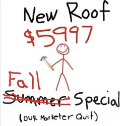 Shingle Roof Installed