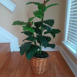 Bird Of Paradise Plant (Faux) Over 3 Ft - Ave Del Paraíso Planta Artificial 