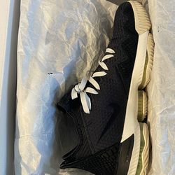 Nike LeBron XVI Low 2019