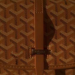 Goyard Sidebag
