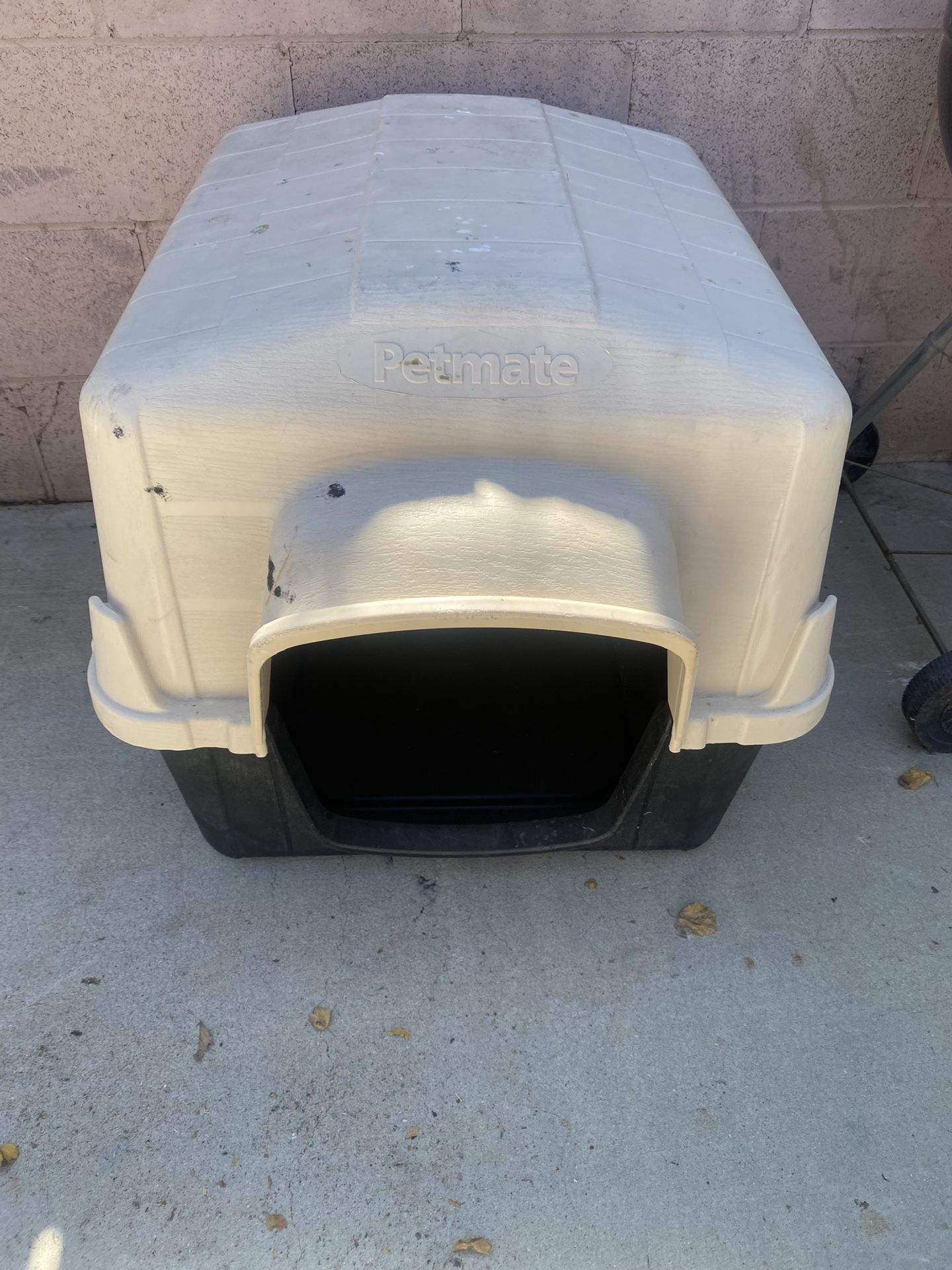 Medium Dog   House 