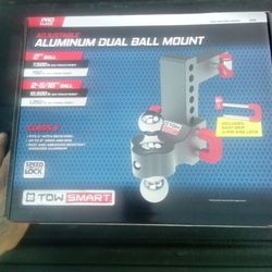 Dual Ball Mount