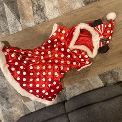 Disneyland Minnie Christmas Dress