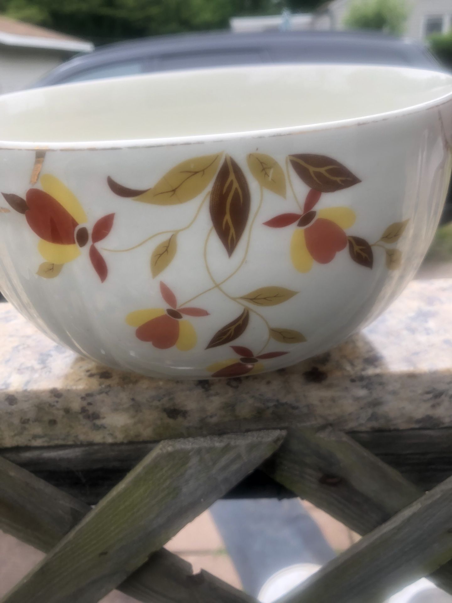 Antique Hall’s Superior China Mary Dunbar Jewel Homemakers
