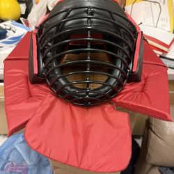 Fencing Or Ninja Mask