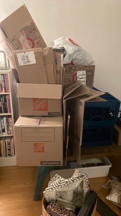 Moving supplies - MUST GO!
