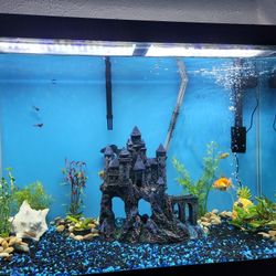 fish tank with stand, fish, heater, filters, decorations, cleaning accessories included