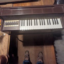 Magnus Electric Chord Organ