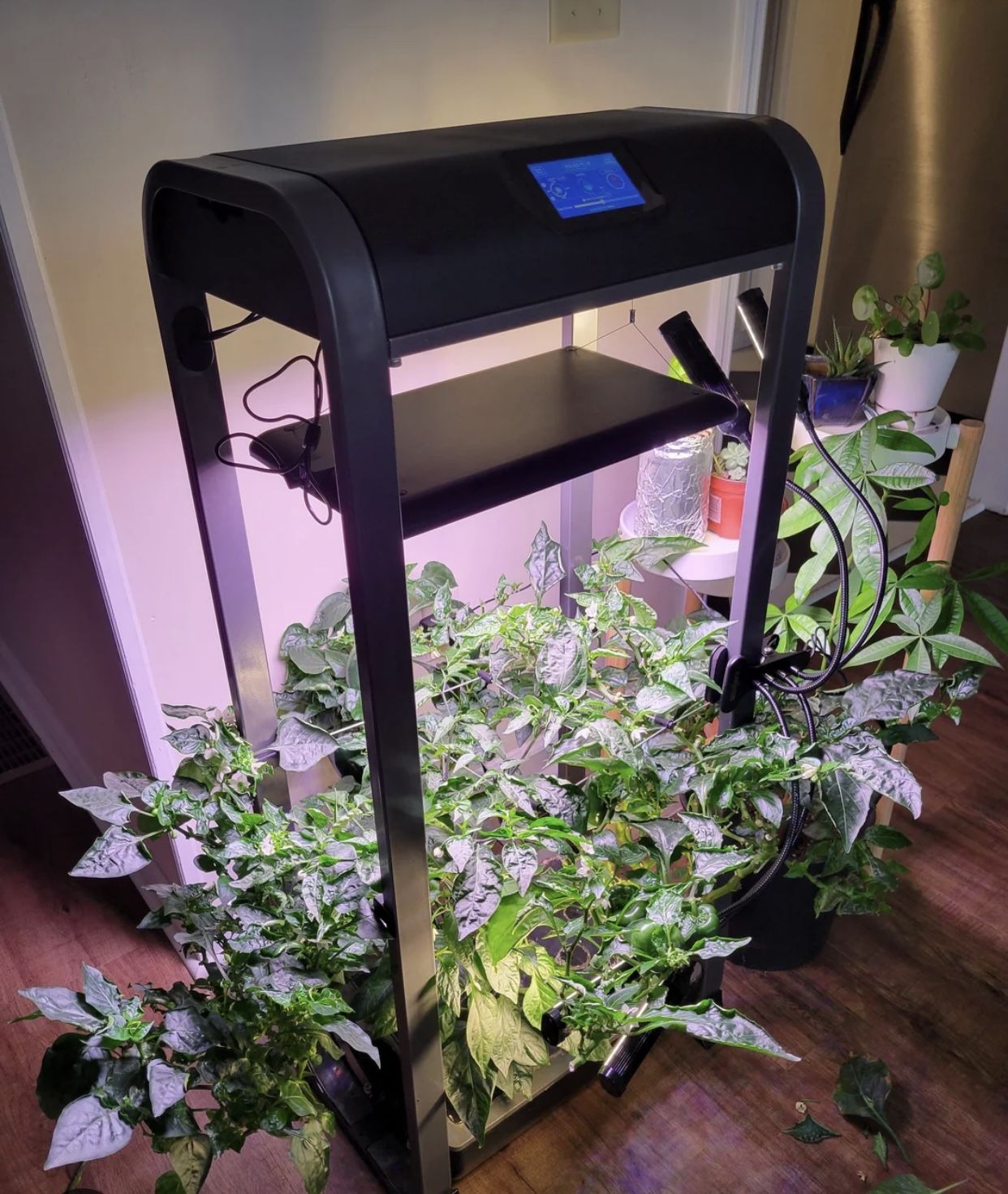 Aerogarden Farm 12XL - Hydroponic Indoor Garden (Negotiable)