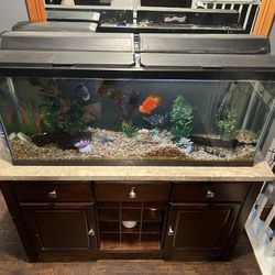 55 Gallon Fish Tank And Stand/Cabinet