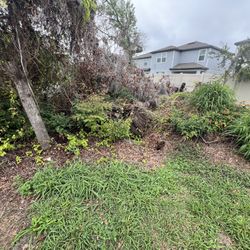 Get Your Yard Cleaned Up 