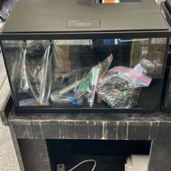 20 Gallon Aquarium 