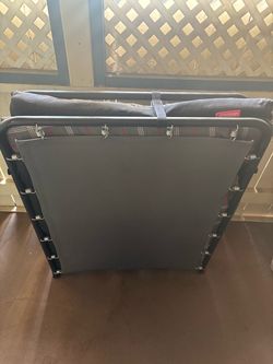 Coleman camping cot