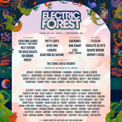 2 GA Electric Forest Tickets (camping Included)