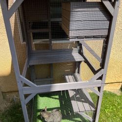 Catio