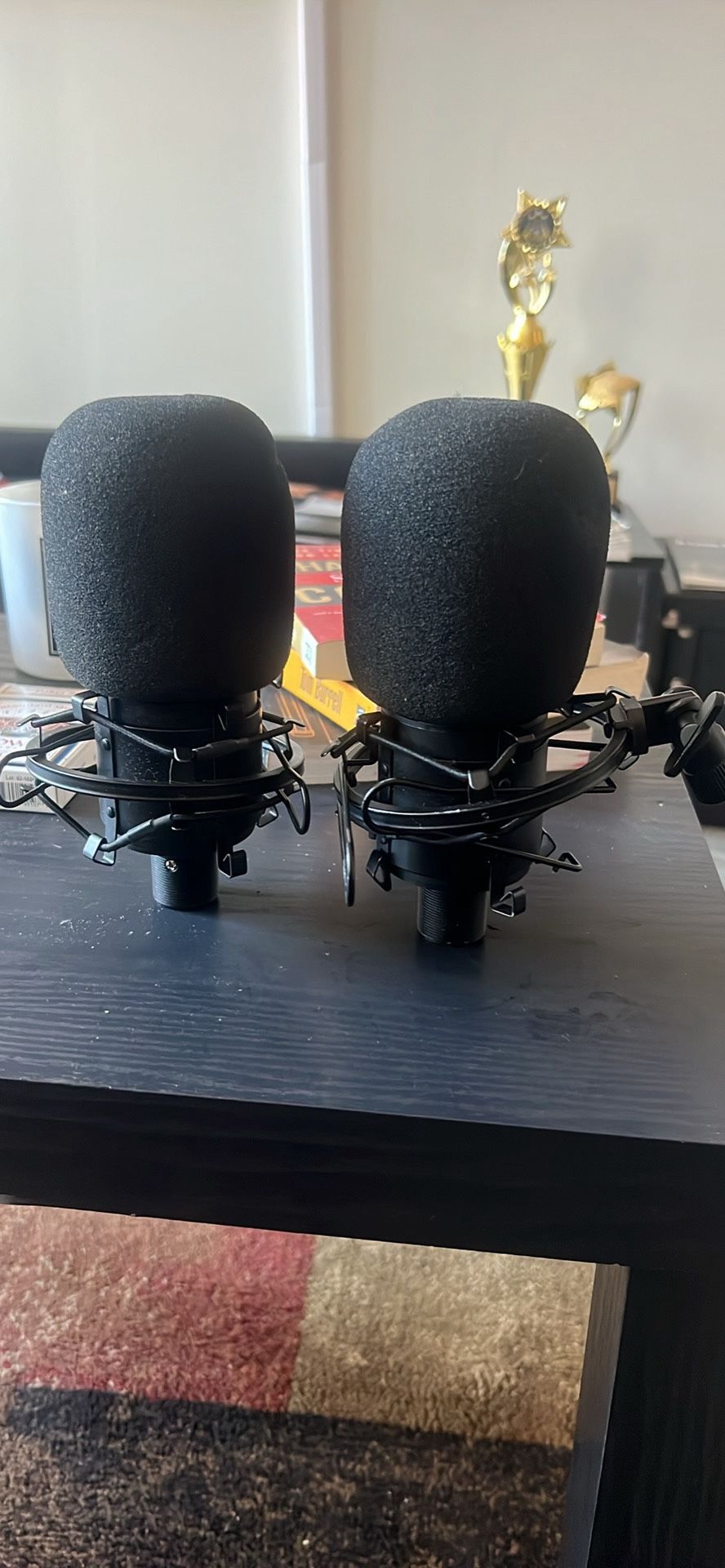 Audio-Technica Mic