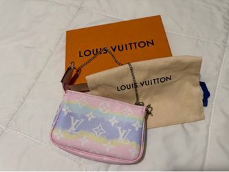 Louis Vuitton Pochette Accessories - pastel