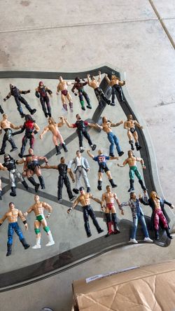 WWE action  figures