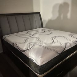 Queen Memory Foam Gel Come With Free Box Spring - Same Day Delivery 