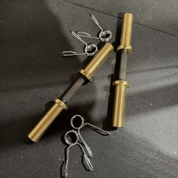 Adjustable Dumbbells