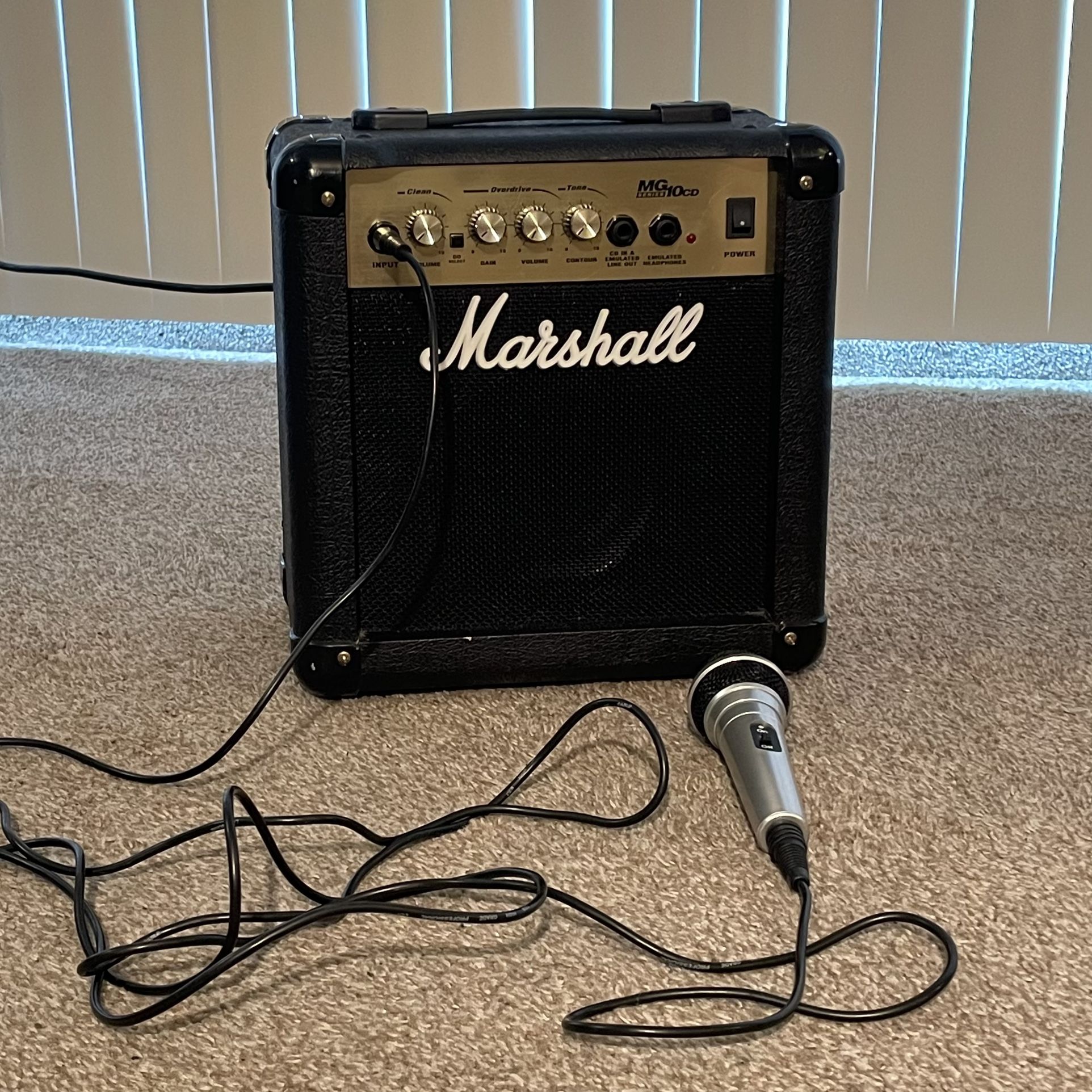 Amplifier & Microphone
