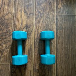 Pair of 5 Pound Weights