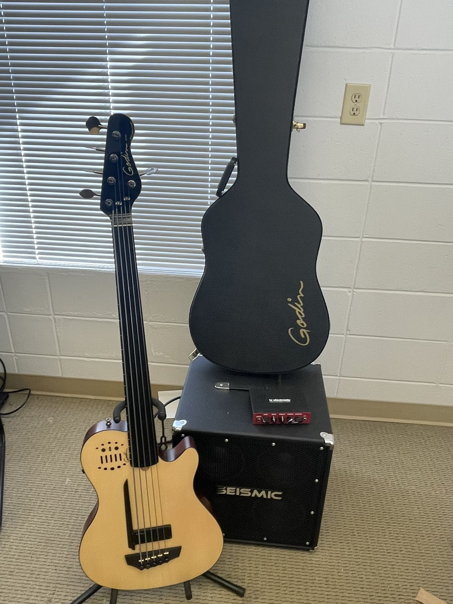 Godin 5 String fret less