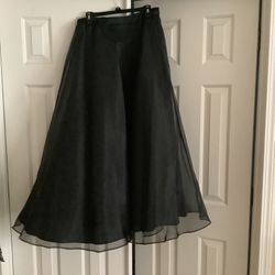 Black Skirt —dressy