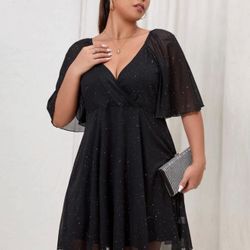 Sheer Dress