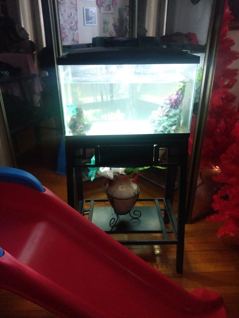 10 Gallon Fish Tank
